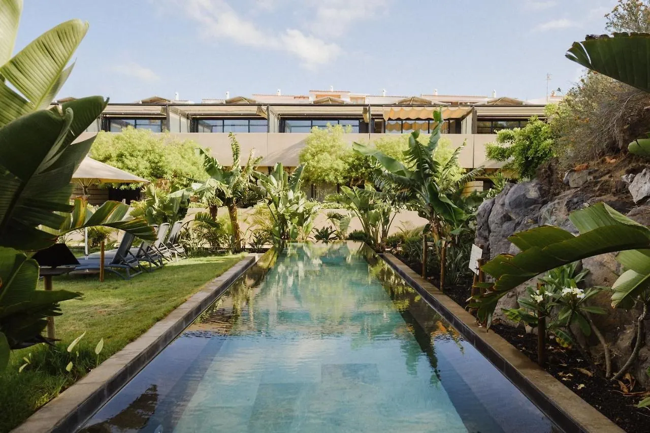 Apartamento Con Piscina Caliente, Mar, Wifi Pro, Barbacoa Gas San Miguel de Abona Apartment