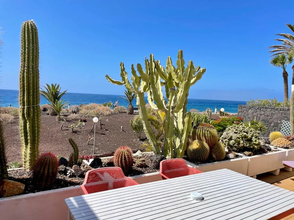 Apartamento Con Piscina Caliente, Mar, Wifi Pro, Barbacoa Gas San Miguel de Abona Apartment